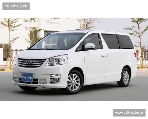 九龙艾菲:高性价比 MPV 的实力之选 九龙艾菲:高性价比 MPV 的实力之选